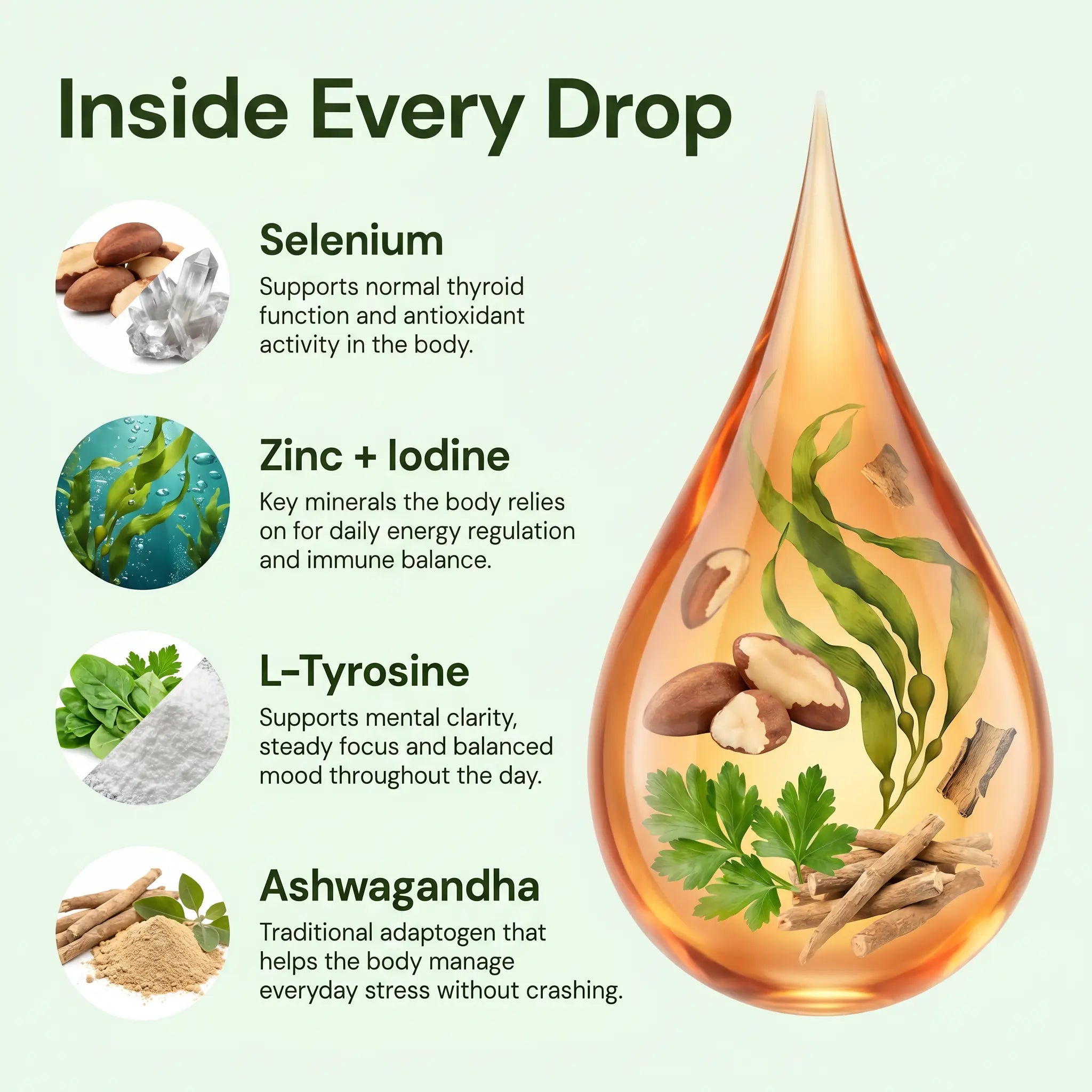 5-in-1 Advance Thyroid Support Drops